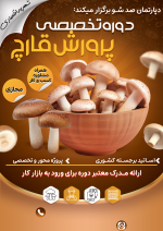 دوره آموزشی تربیت مربی نقاشی (با مدرک دانشگاهی!) - Image 2